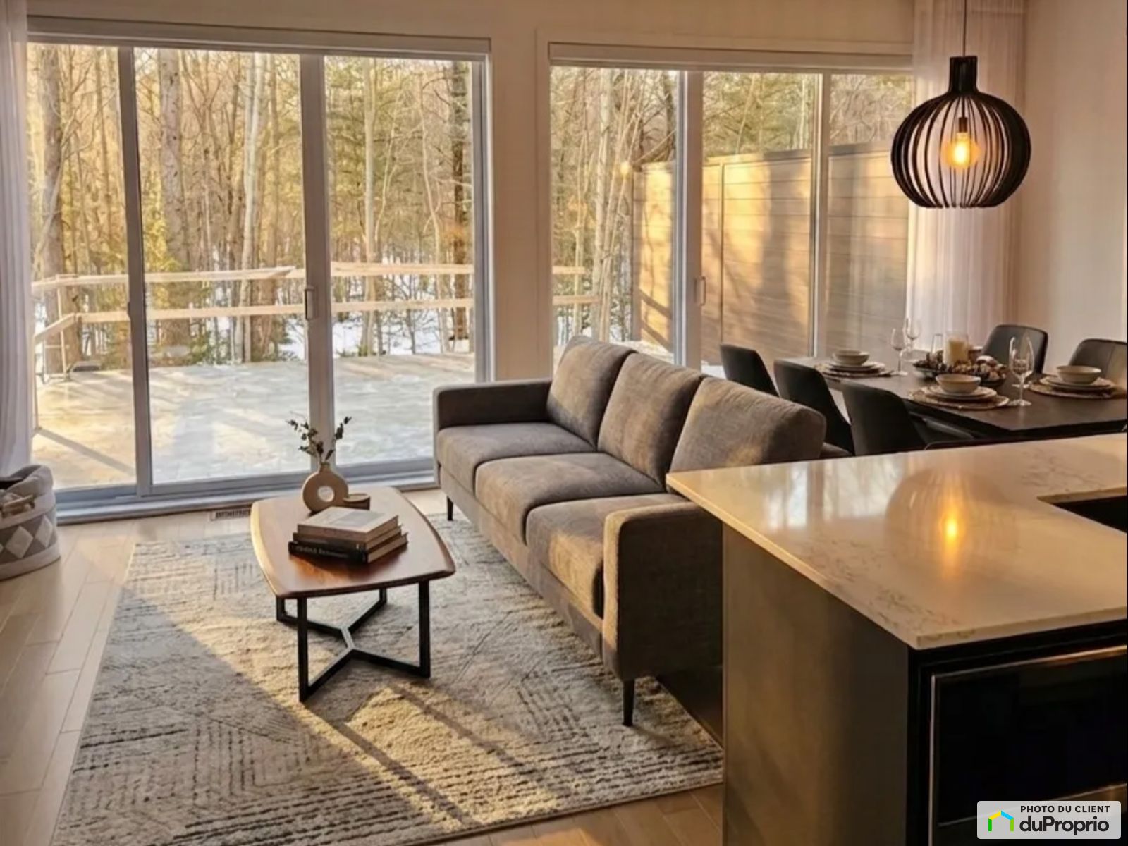 155 Rue De Bellevue — photo 3
