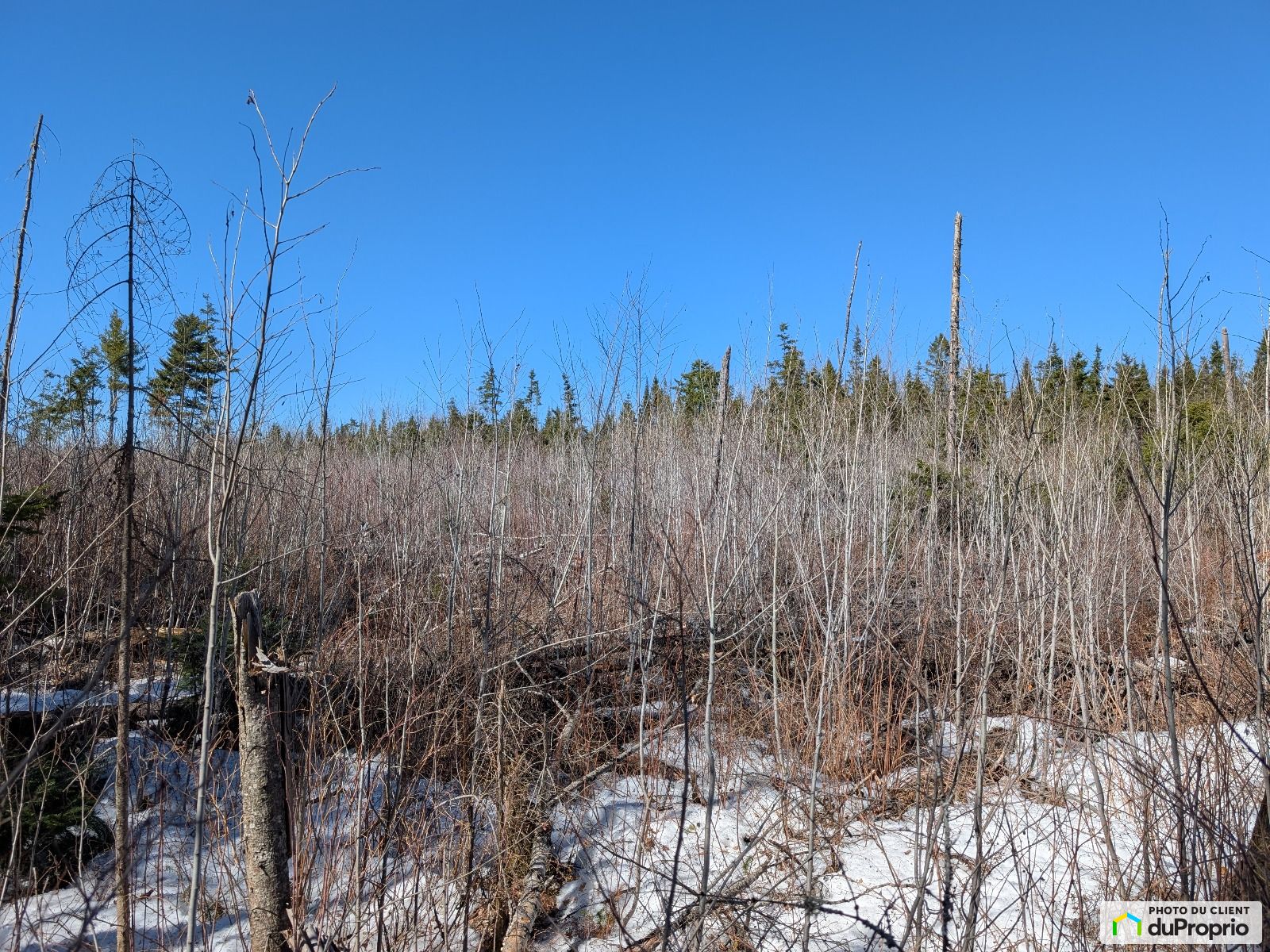 Route Centrale — photo 1