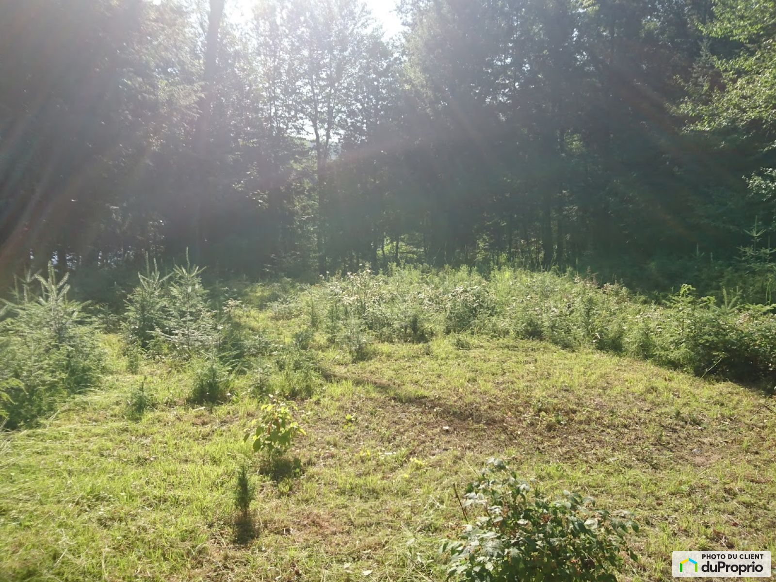 Chemin Isaac Gregoire Sud — photo 3