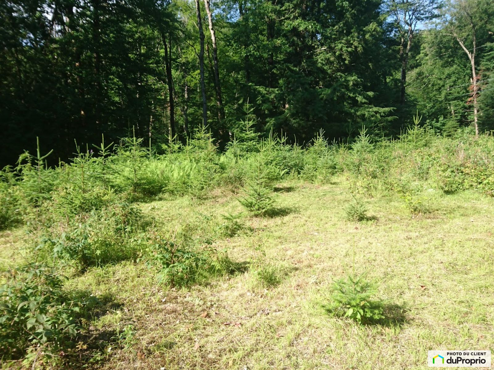 Chemin Isaac Gregoire Sud — photo 2