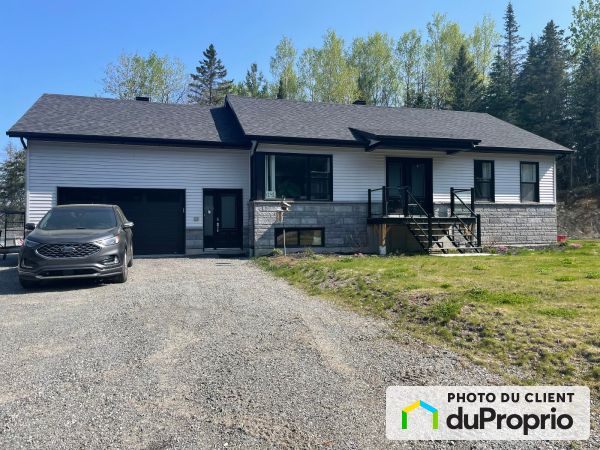 141, rue Edna-Mcgurrin, St-Côme à vendre