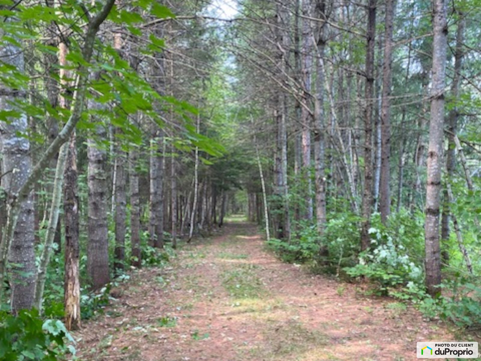 Rang Augusta — photo 1