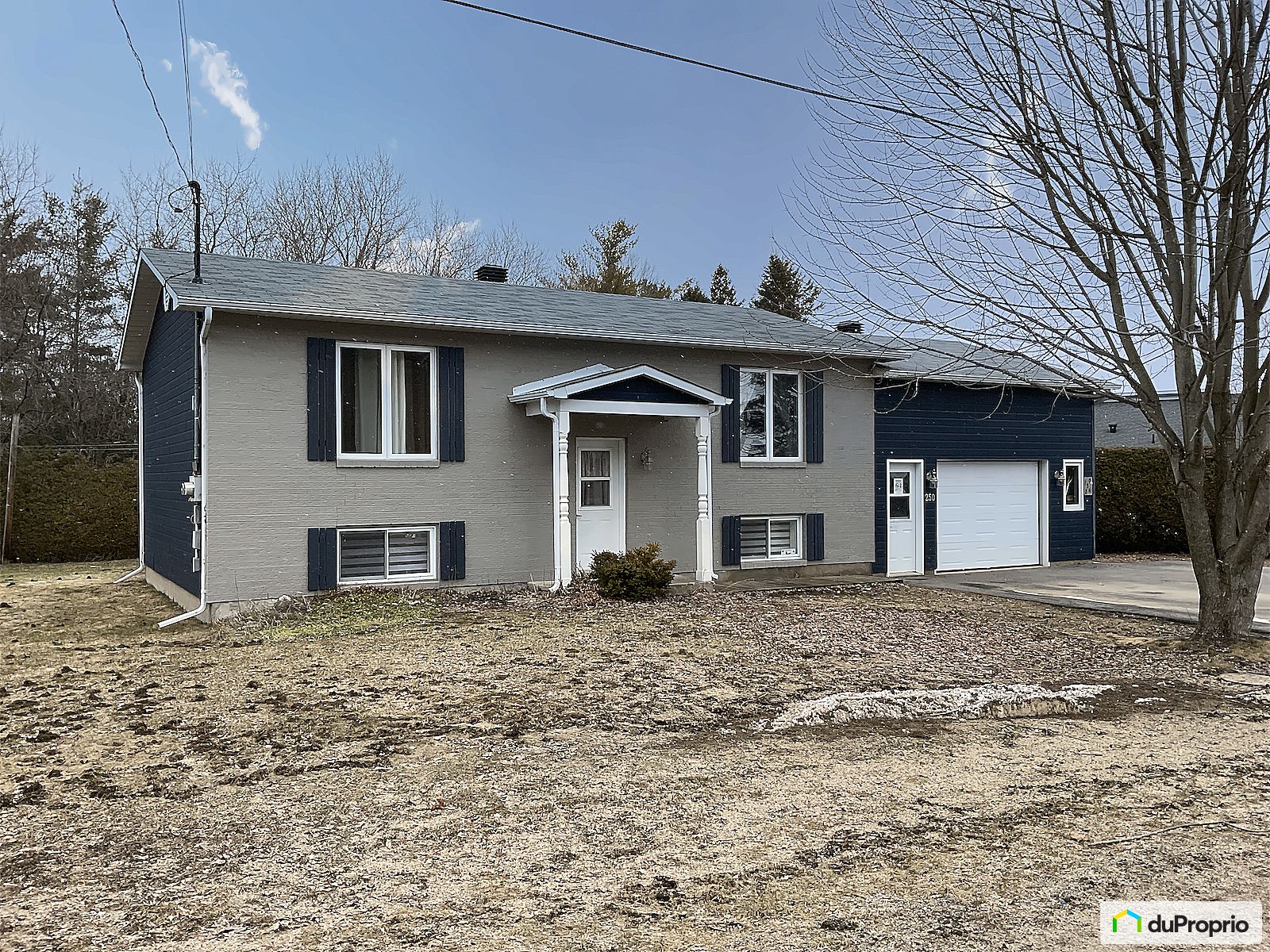 250 250A Rue Bissonnette — photo 1