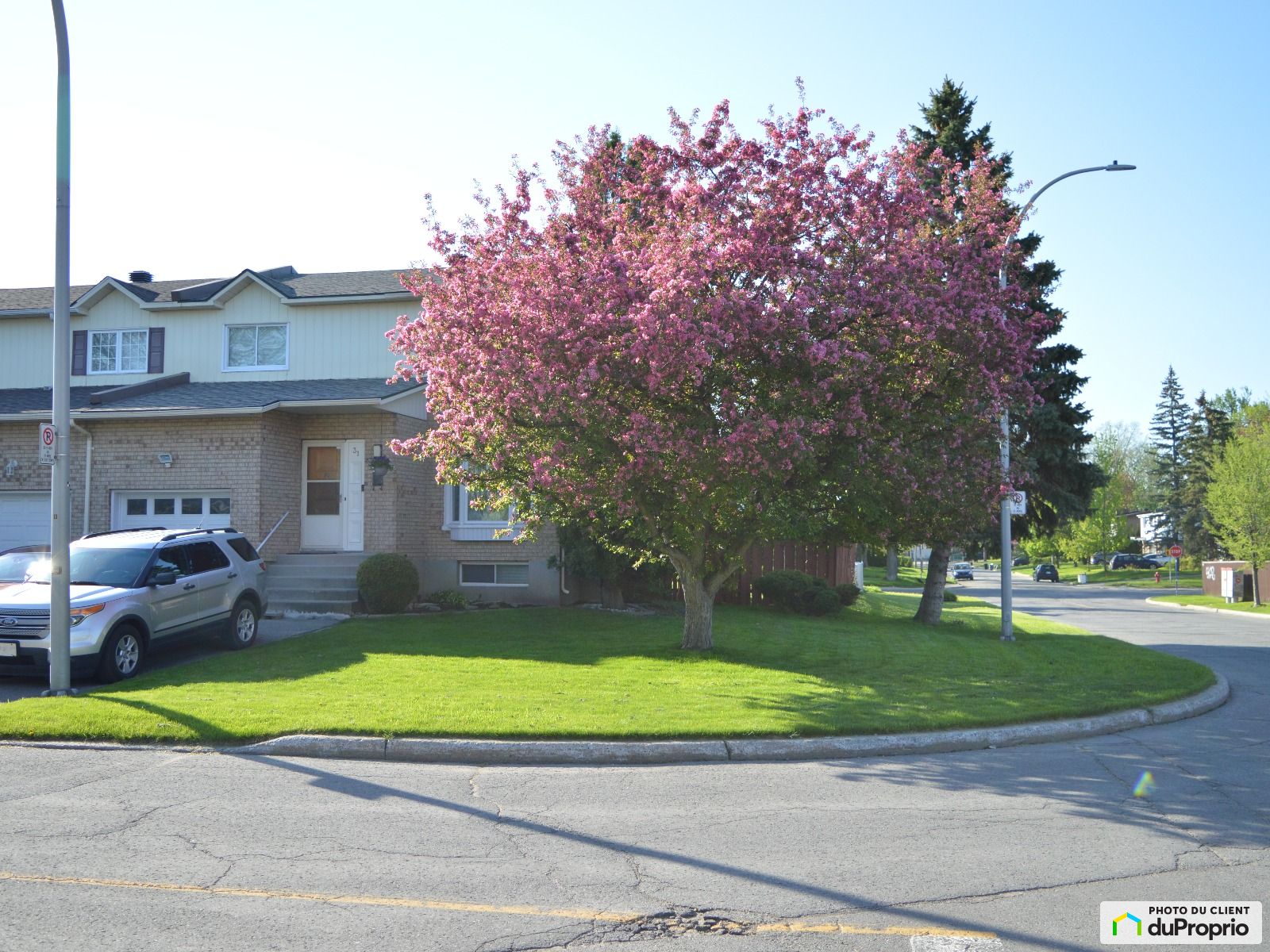 31 Avenue Papillon — photo 3