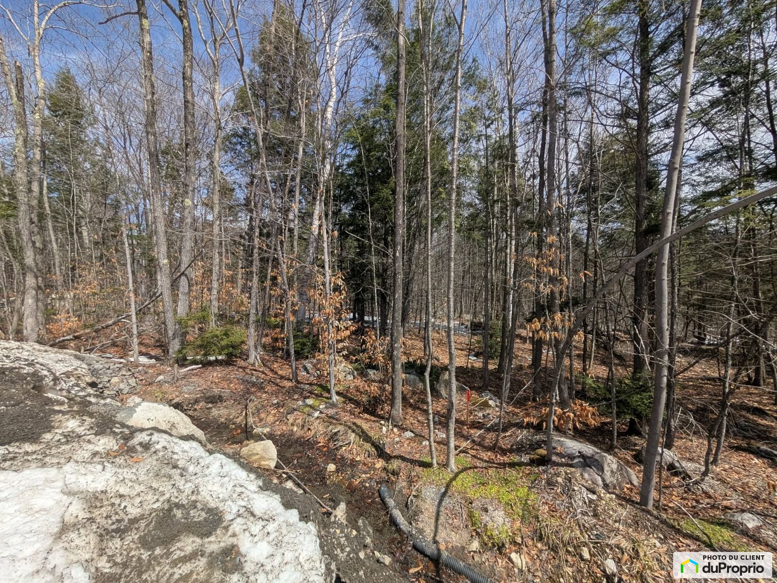 Chemin Lamoureux — photo 1