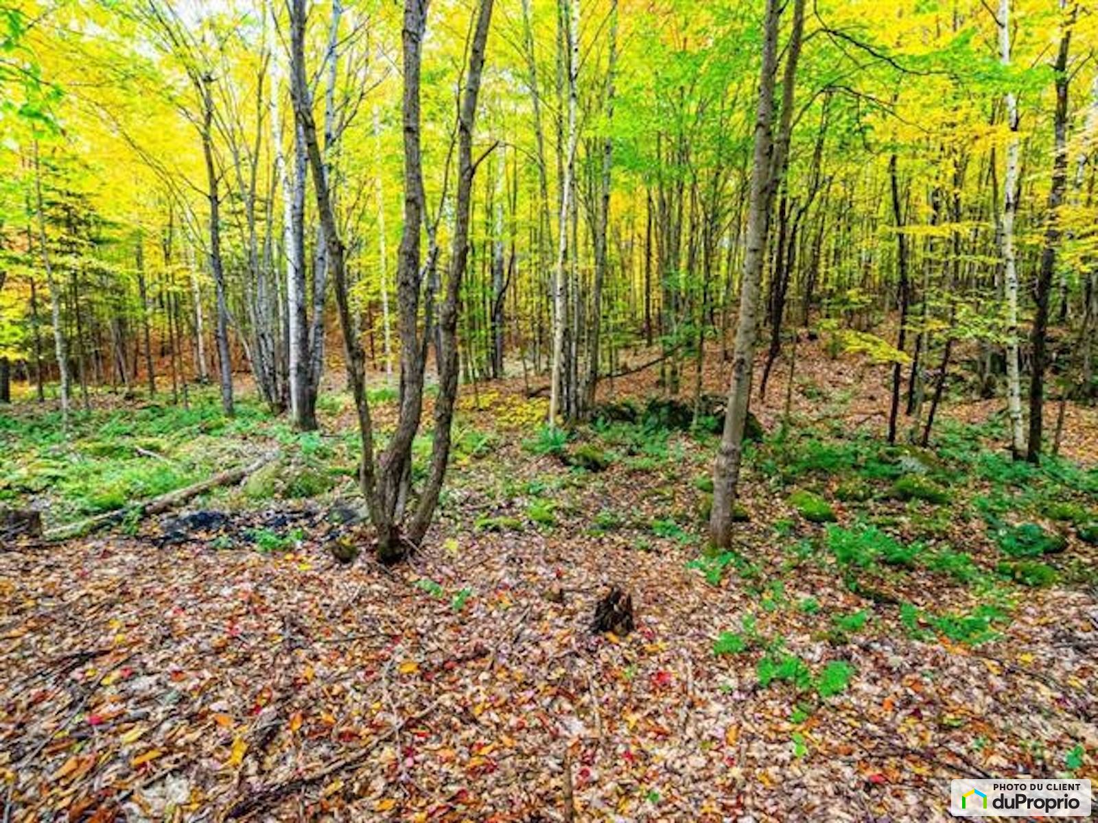Chemin De La Chasse Galerie — photo 3