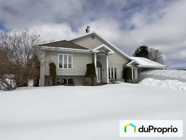 16 rang Saint-Henri, Ste-Sabine-De-Bellechasse for sale