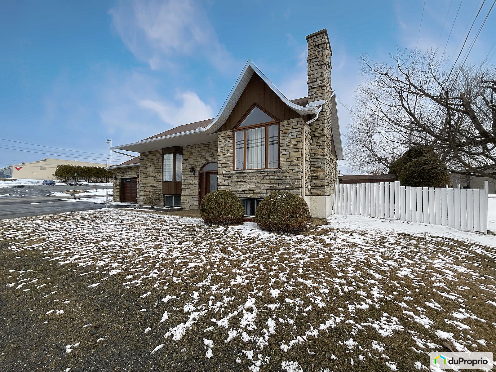 3736 Rue Laval — photo 3