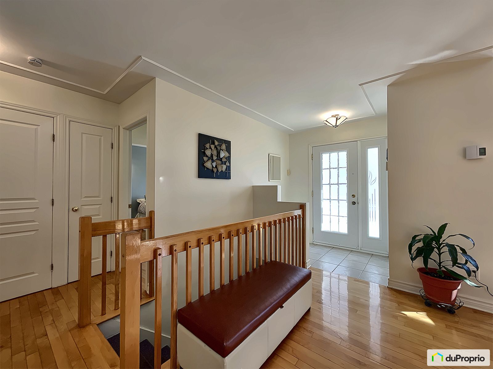 3723 Rue Albert — photo 2