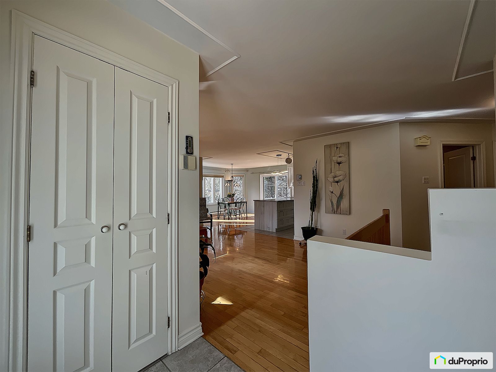 3723 Rue Albert — photo 3