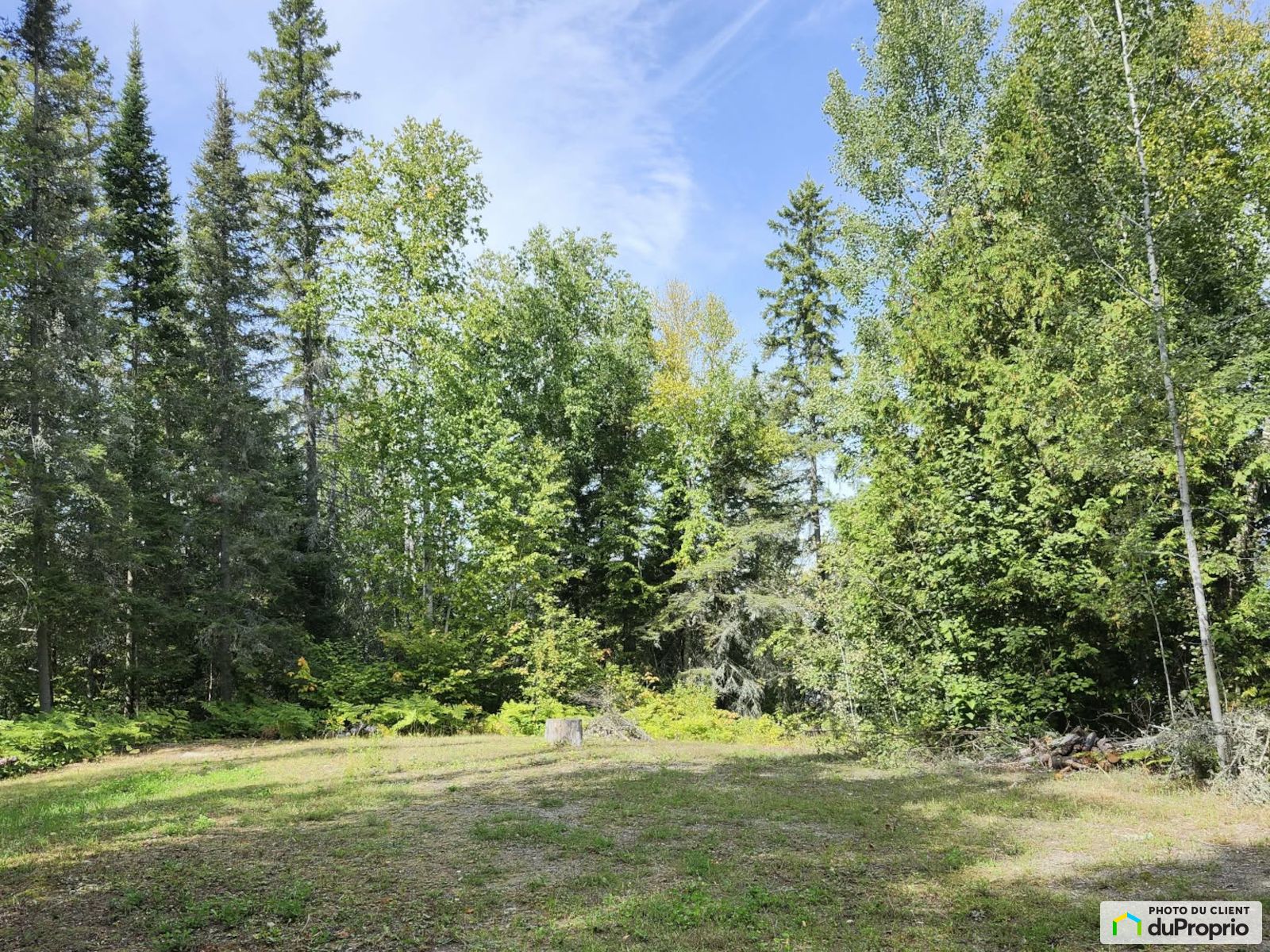 52 Chemin Du Lac Cameron — photo 1