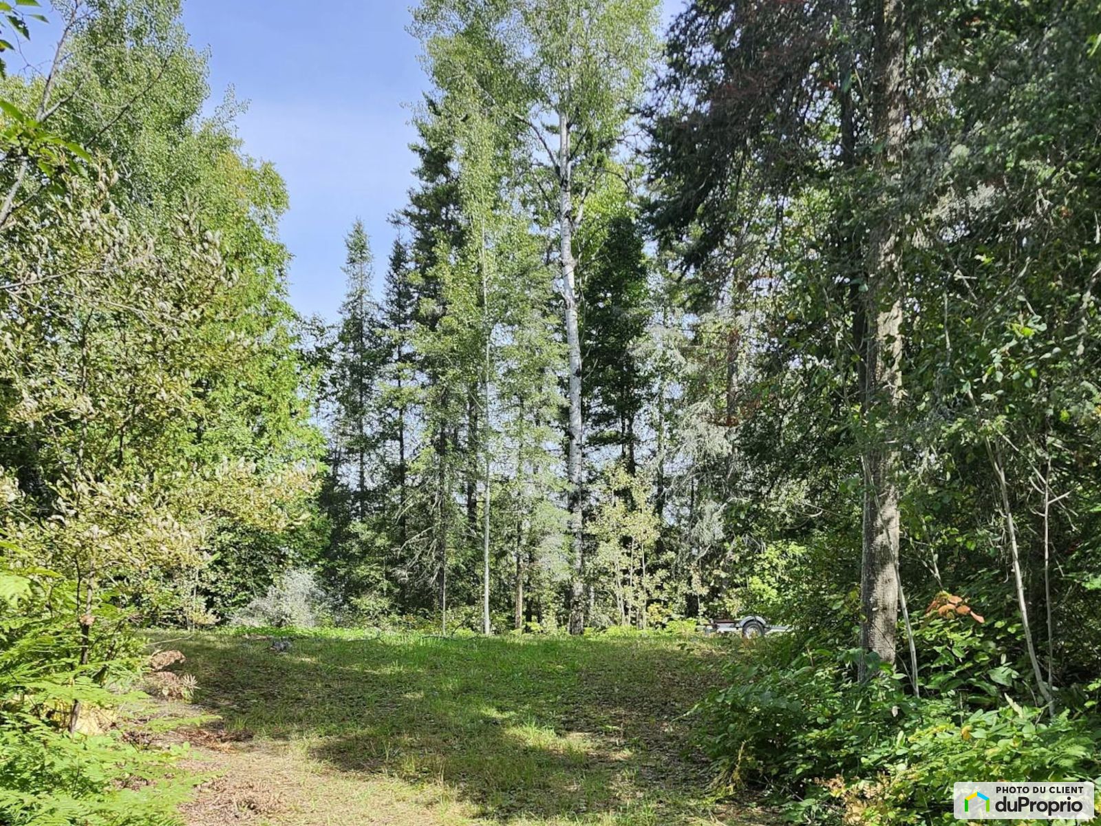 52 Chemin Du Lac Cameron — photo 3