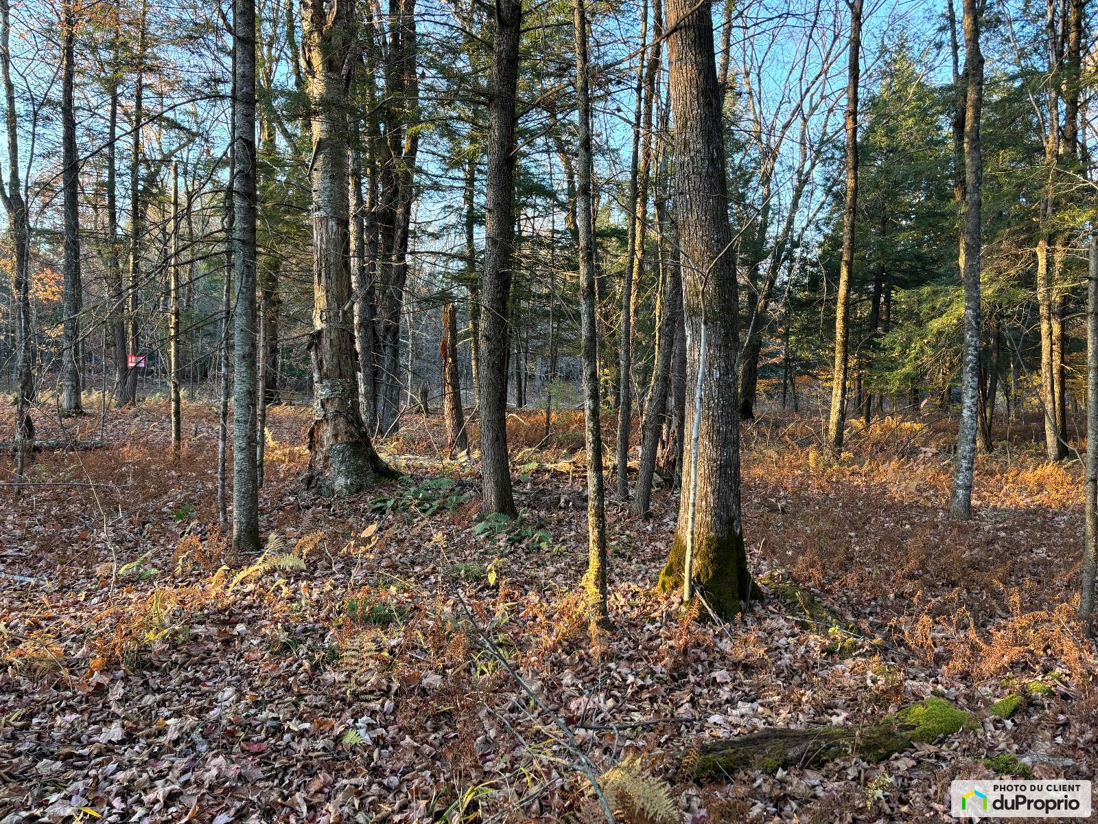 Chemin Coveduck — photo 3