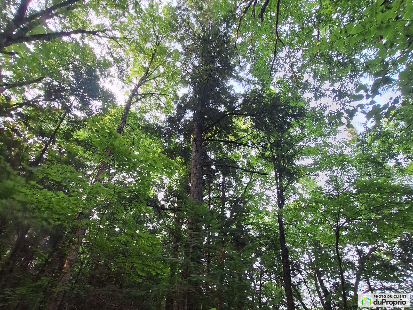 00 Chemin Daigneault Sud — photo 2