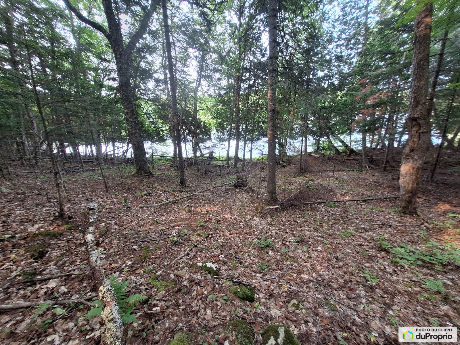 00 Chemin Daigneault Sud — photo 1