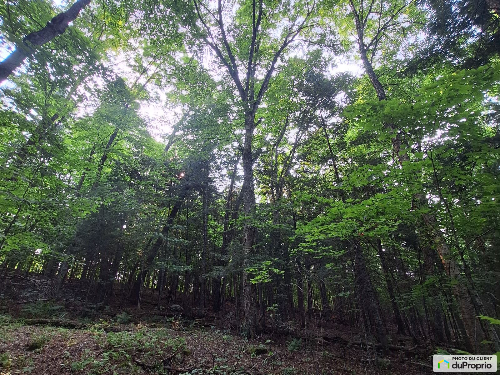 00 Chemin Daigneault Sud — photo 3