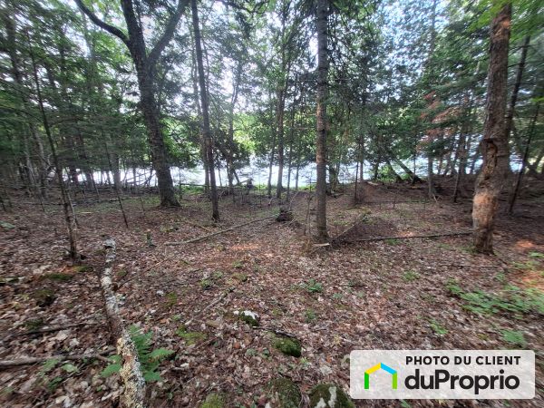 00, chemin Daigneault Sud, La Minerve à vendre
