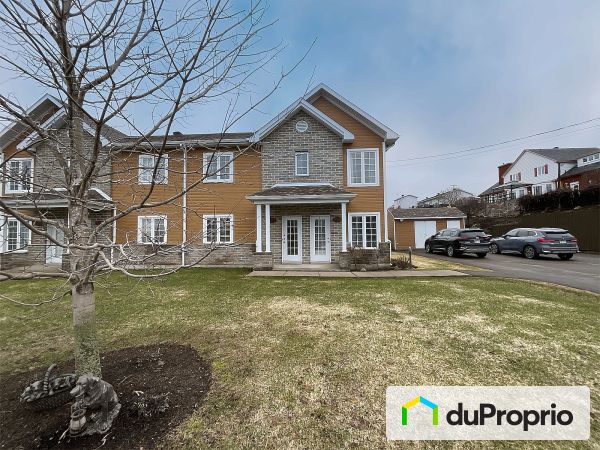 342, rue Woodbine, Brownsburg-Chatham à vendre