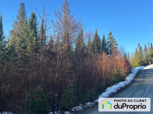 0, rue du Cerf, Val-David à vendre