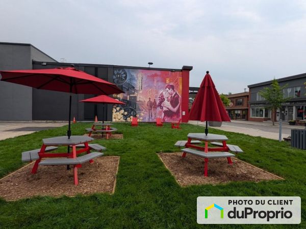 , rue Turgeon, Ste-Therese à vendre