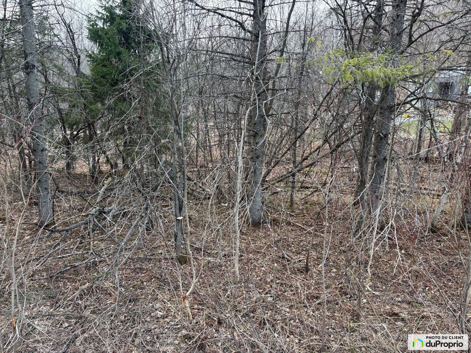 X Chemin Du Mont Shefford — photo 2