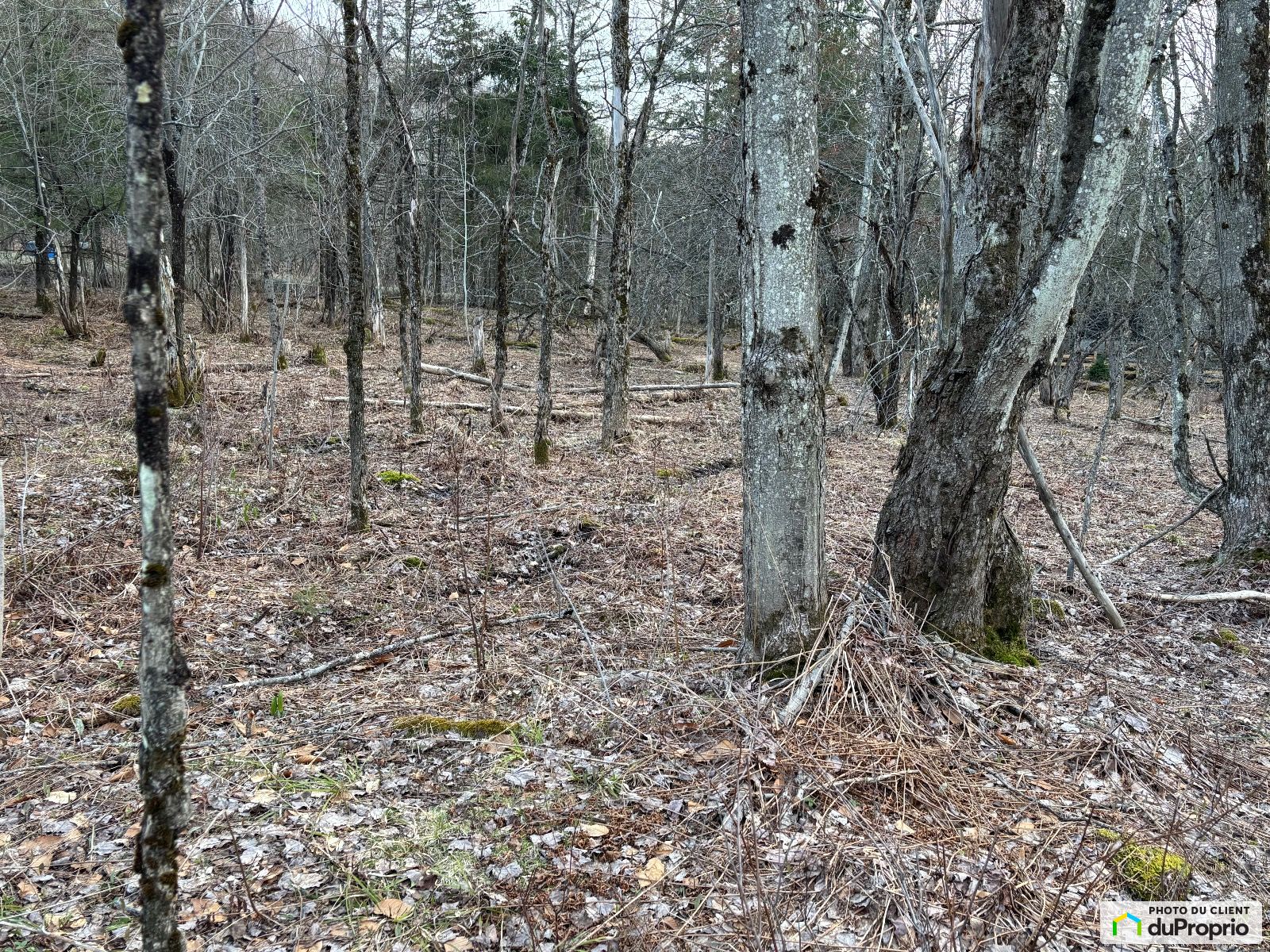 X Chemin Du Mont Shefford — photo 1