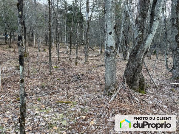 X chemin du Mont Shefford, Shefford for sale