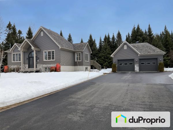 223, rue Hodgson, Shannon à vendre