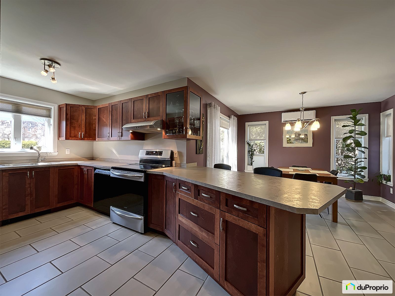 165 Rue Joseph Veronneau — photo 2