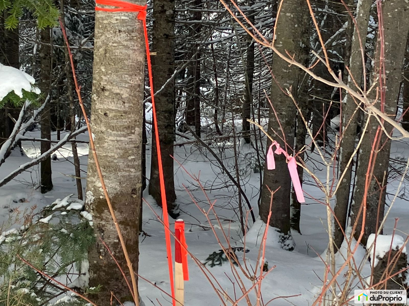 Chemin Du Lac Dapic — photo 2