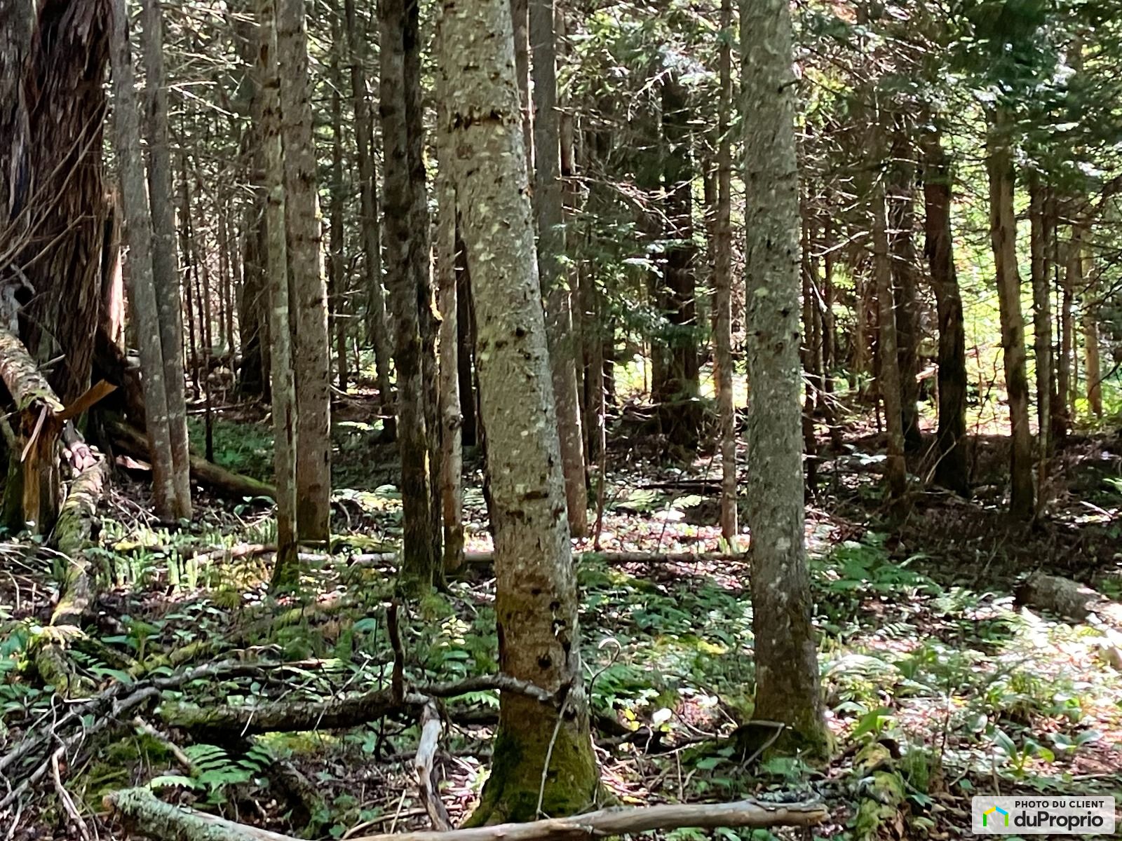 Chemin Du Lac Dapic — photo 1