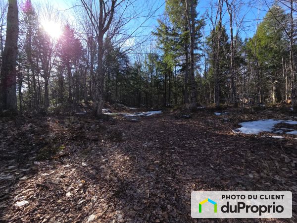 Lot -  des Pionniers, St-Elie-de-Caxton for sale