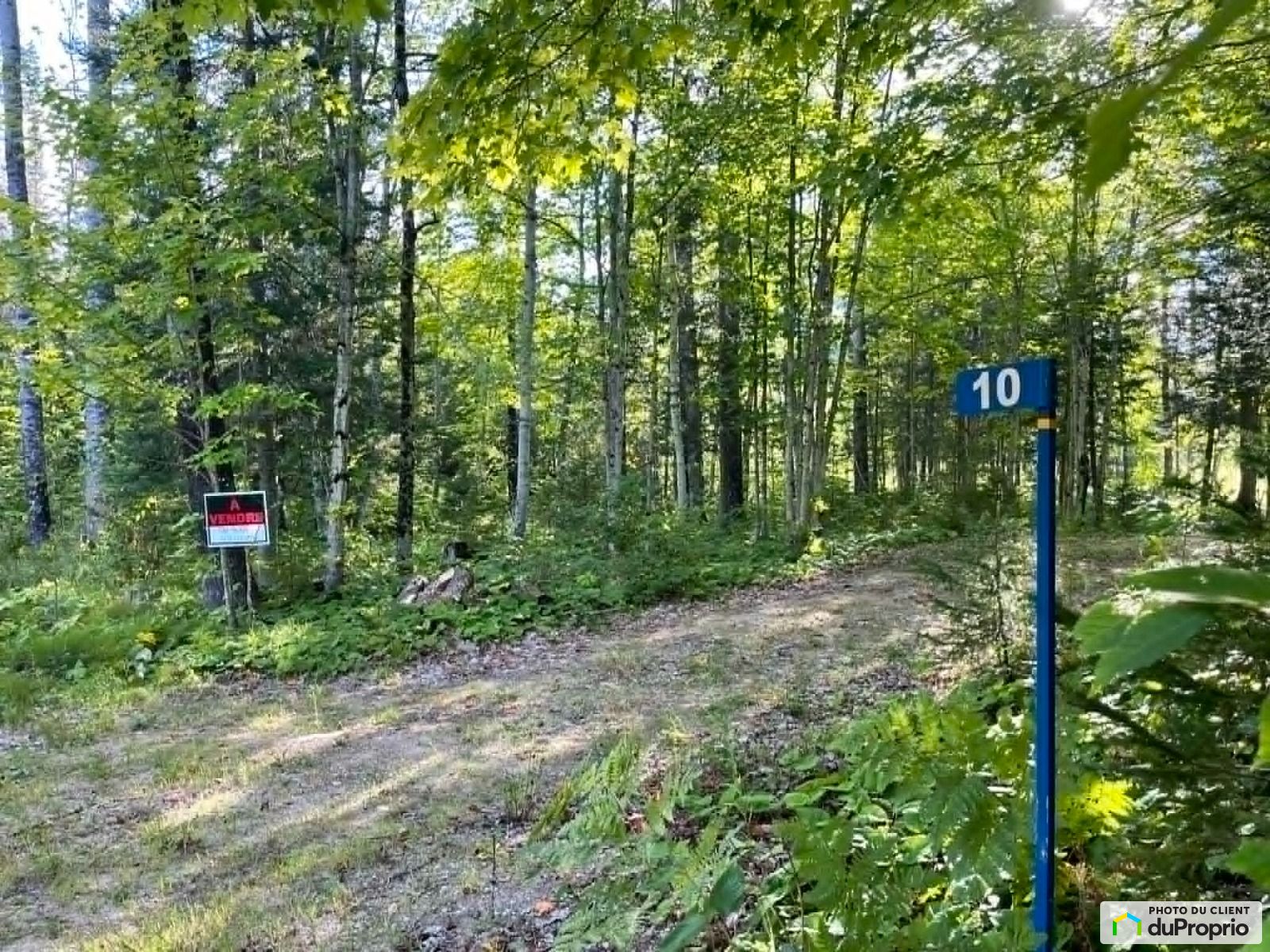 10 Chemin Nevins — photo 2
