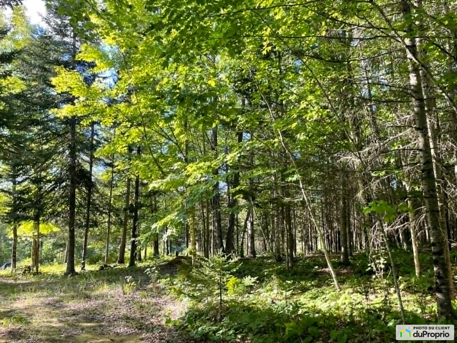 10 Chemin Nevins — photo 3