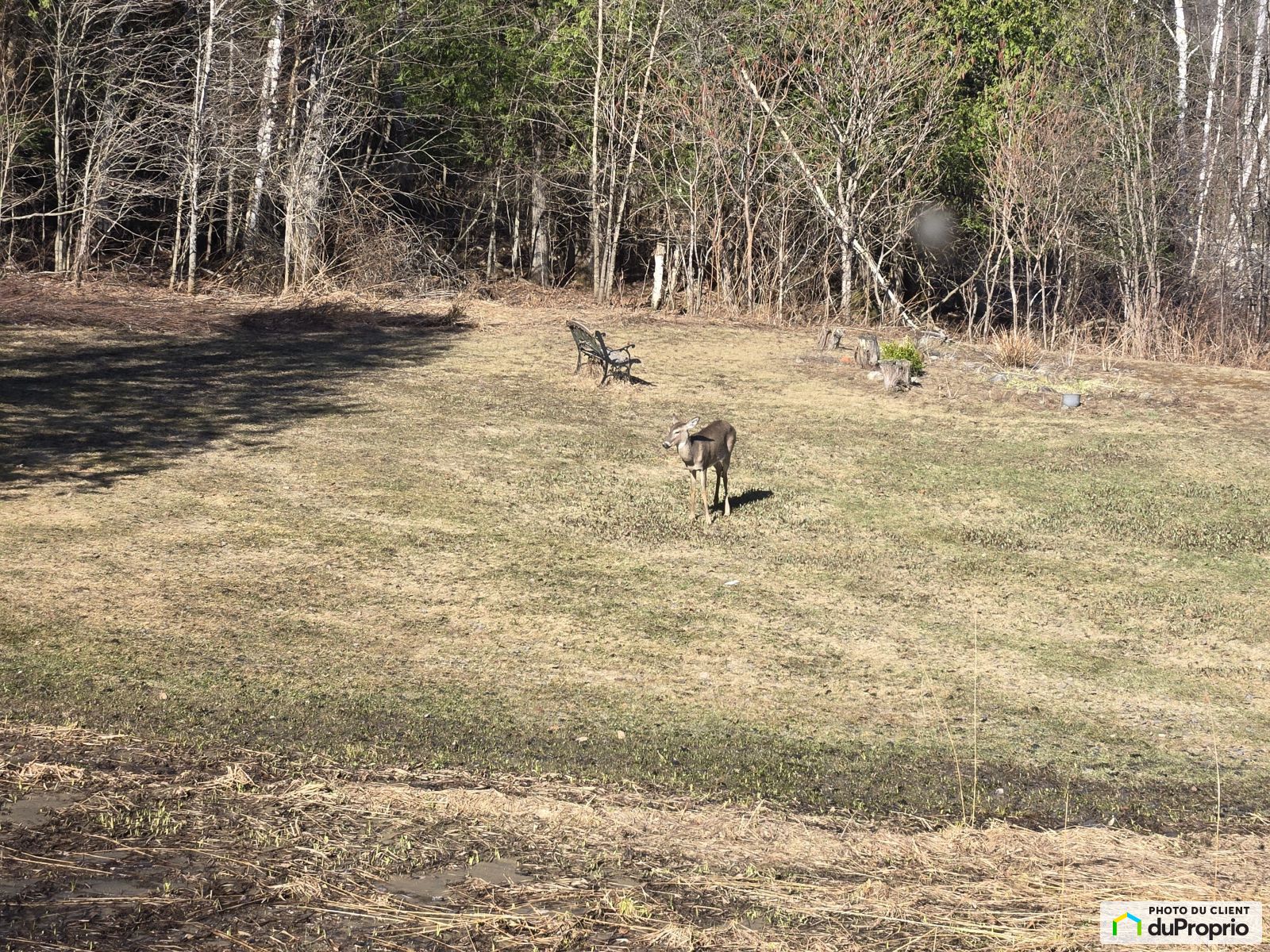 1258 Chemin Du Ruisseau Serpen — photo 3