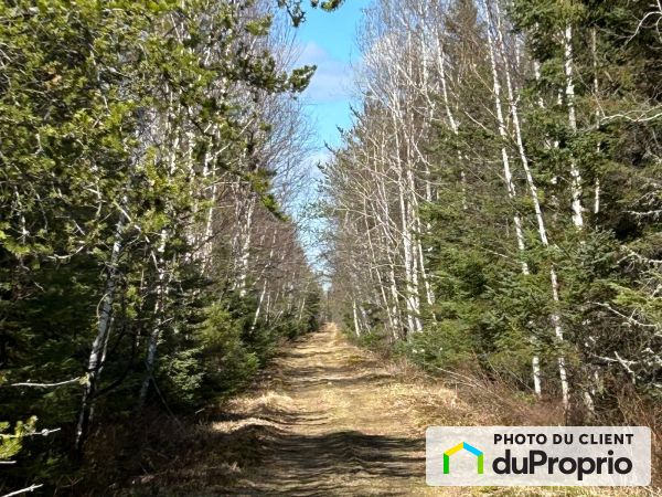 3185, chemin du Héron-Bleu, St-Félicien à vendre