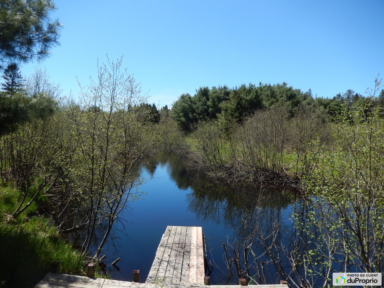 344 Route De Crystal Falls — photo 2