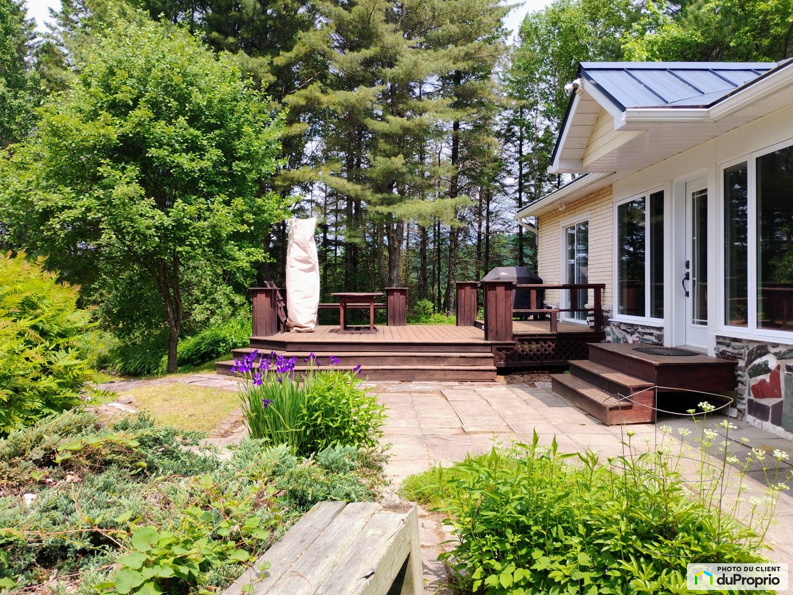 344 Route De Crystal Falls — photo 1