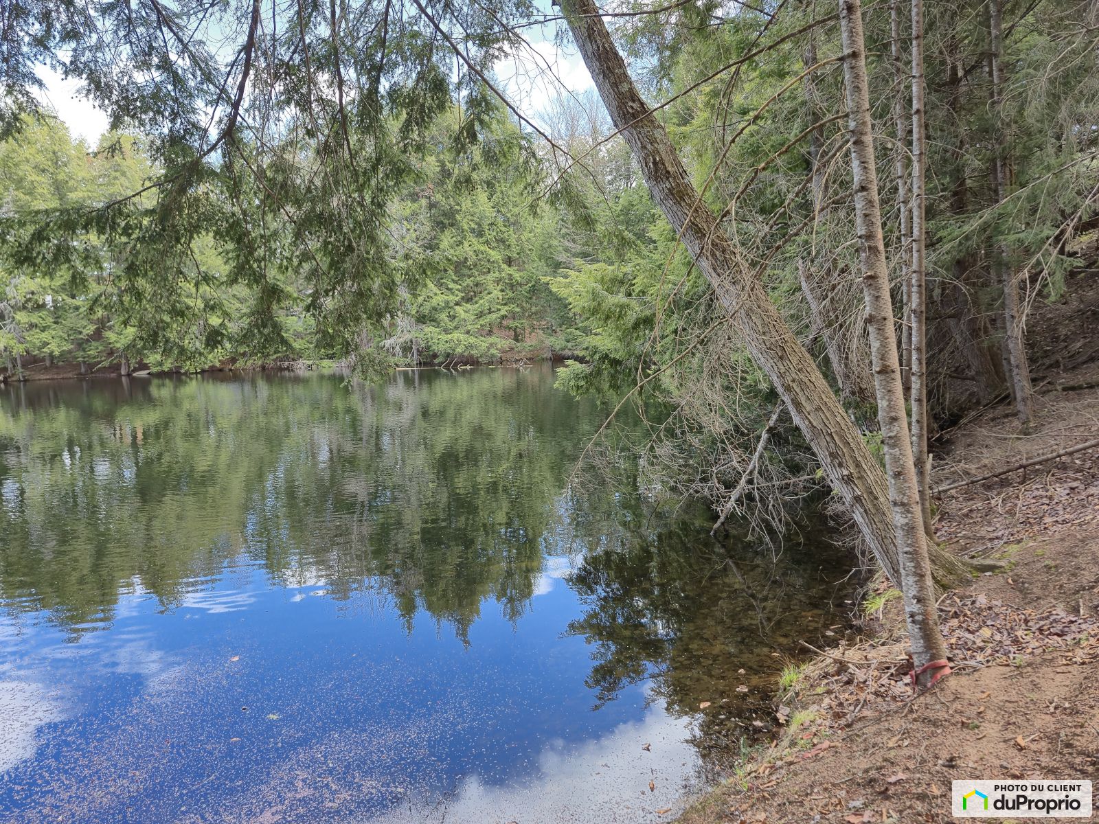 Chemin Du Lac De Lachigan — photo 3
