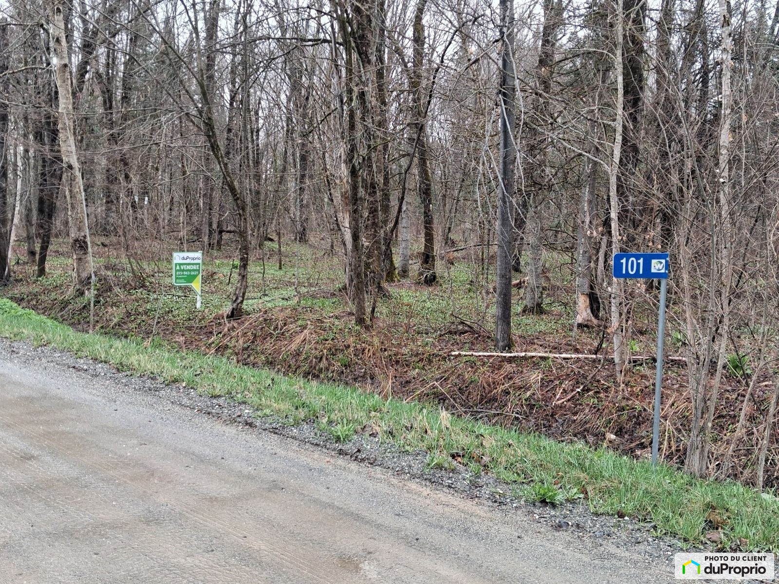 101 Chemin Rousseau — photo 3