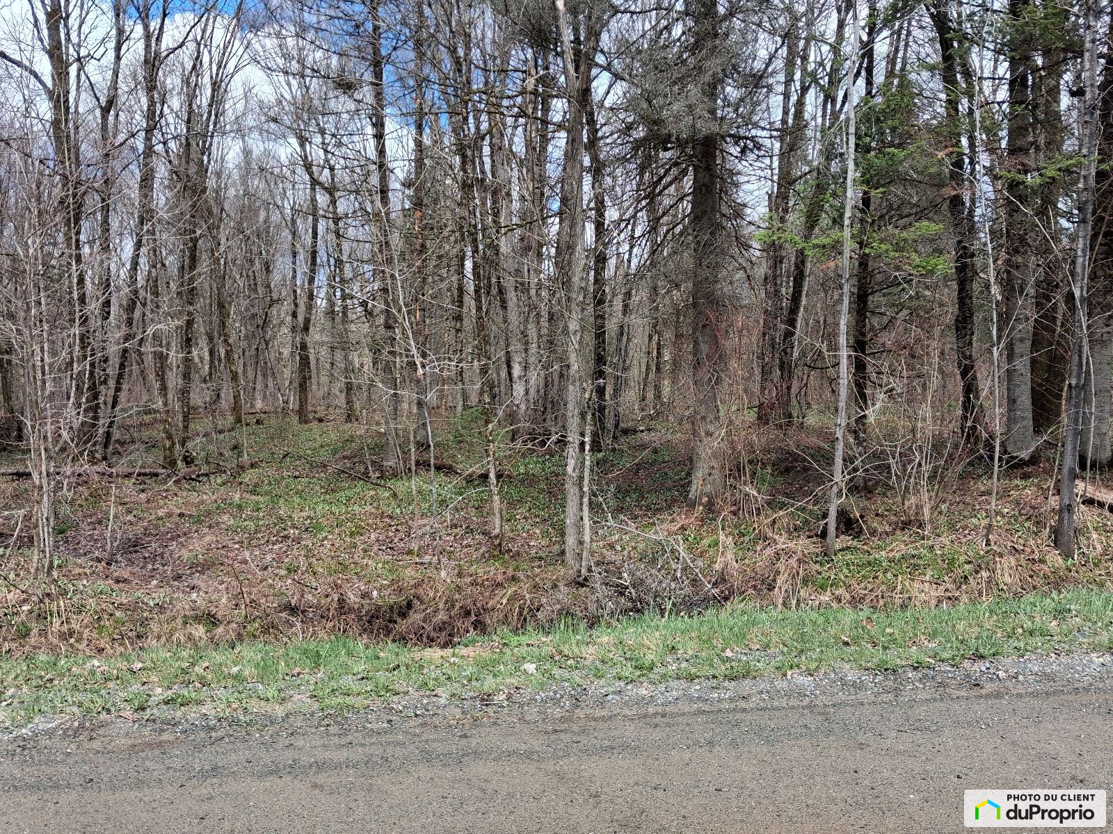 109 Chemin Rousseau — photo 3