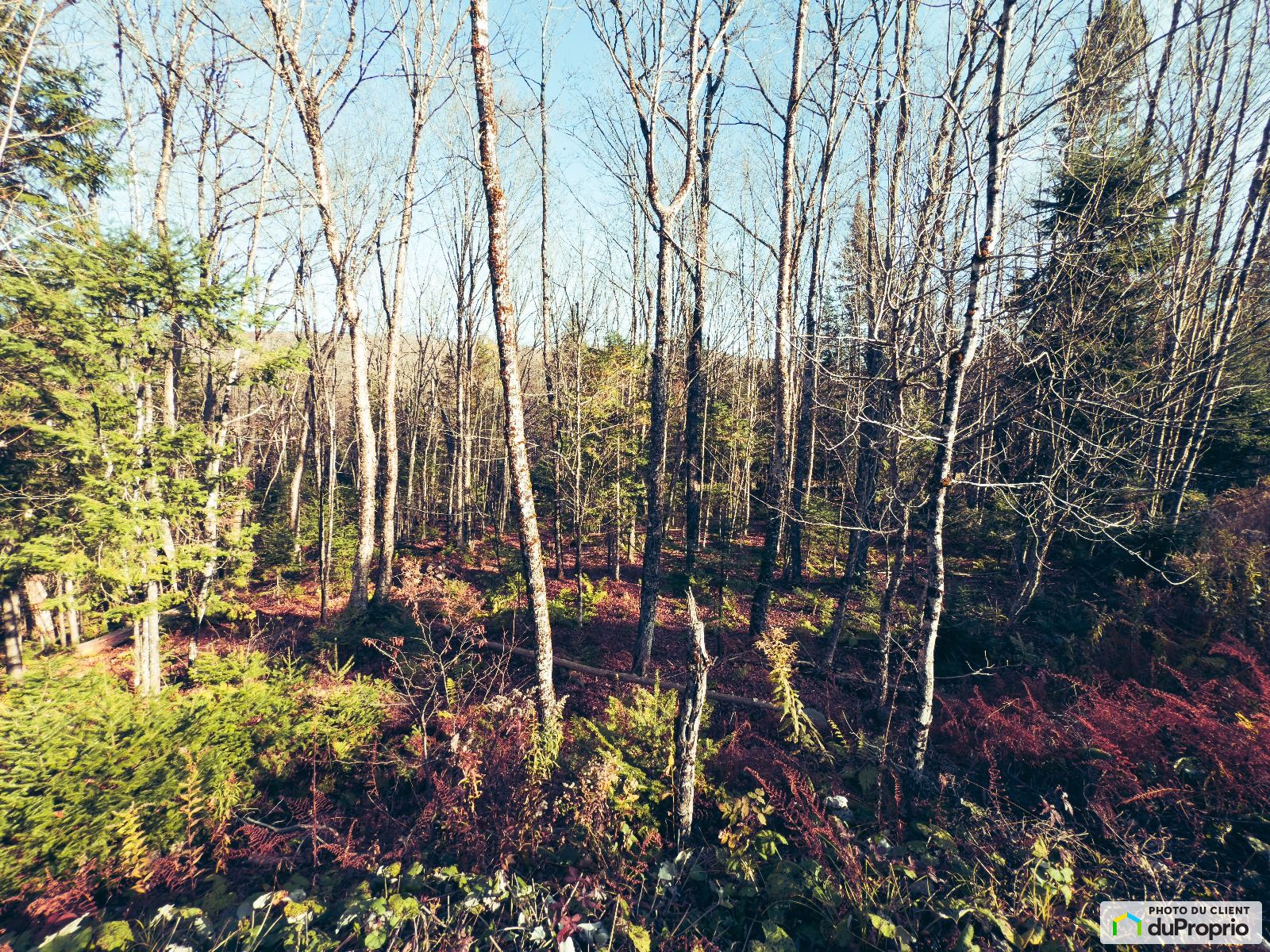 Chemin De La Cote A Chabot — photo 3
