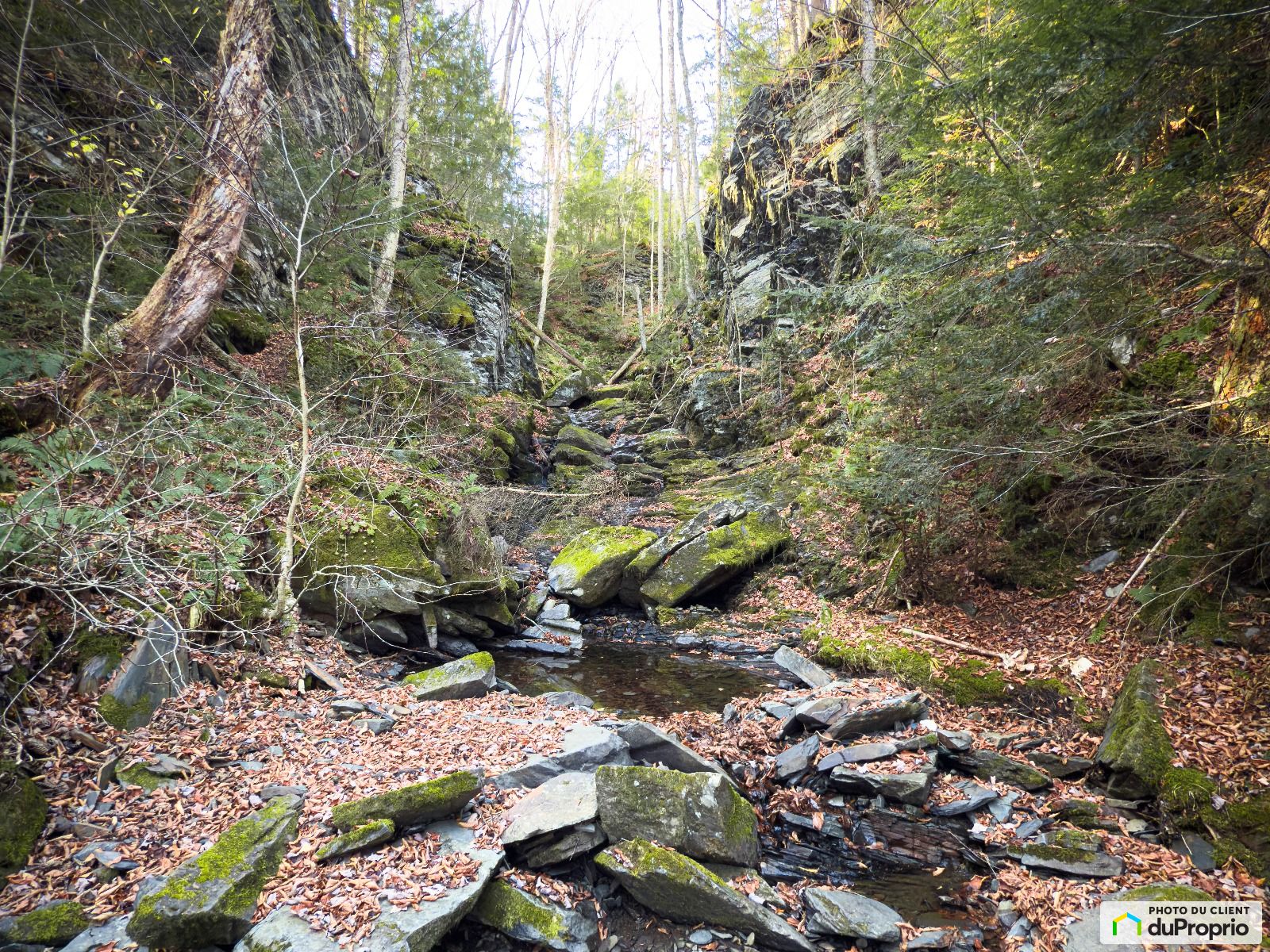 Chemin De La Cote A Chabot — photo 1