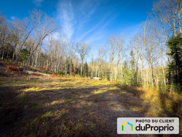 , chemin de la Côte-à-Chabot, St-Venant-De-Paquette à vendre
