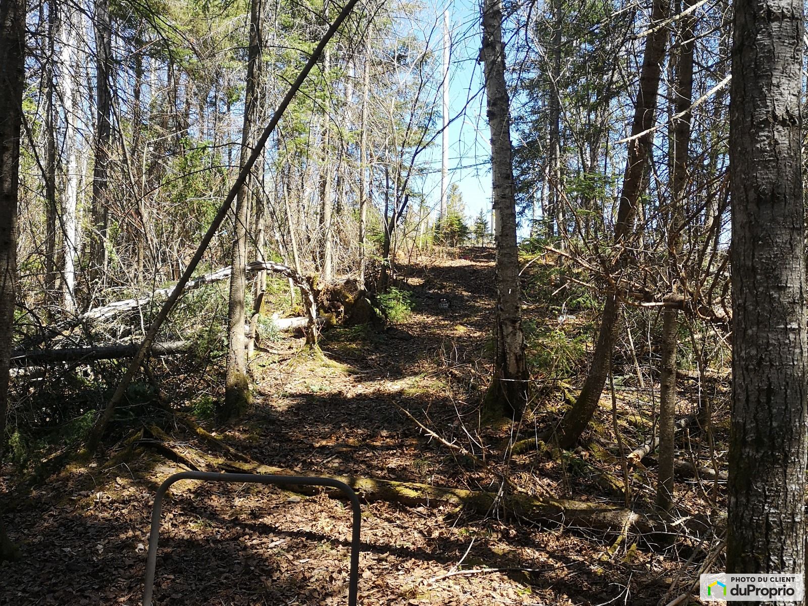 Rang Melancon — photo 2