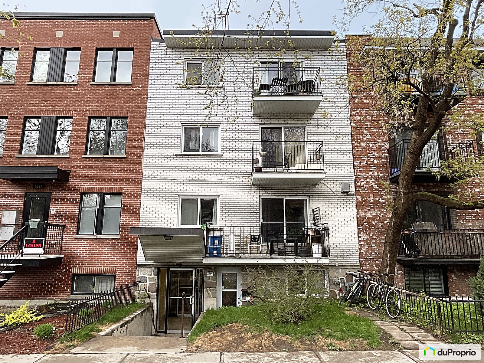 6295 Rue Chambord — photo 1