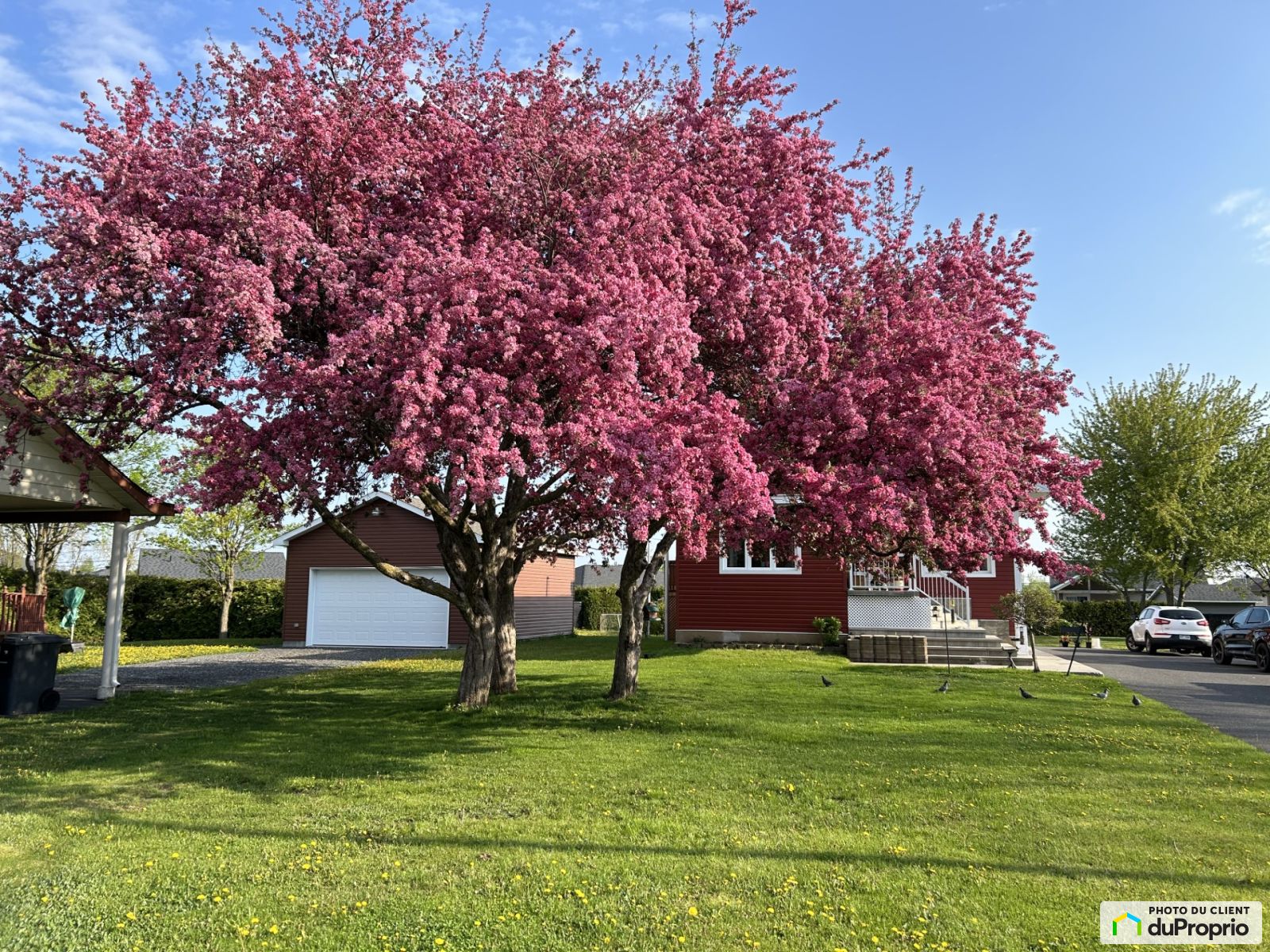 320 Boulevard Patrick — photo 2