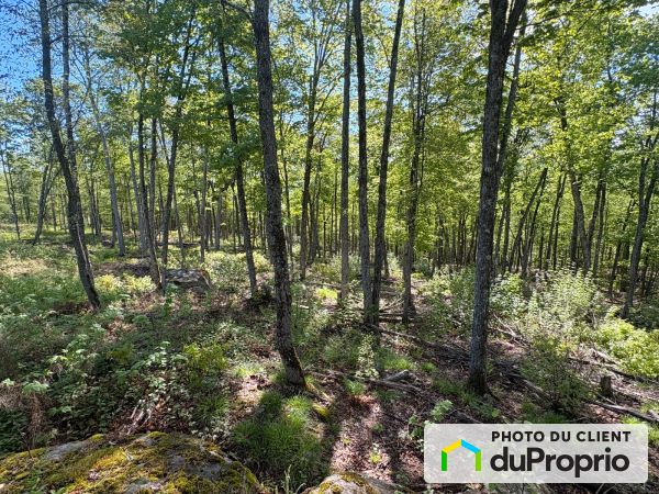  chemin de la Chasse-Galerie, Mont-Tremblant for sale