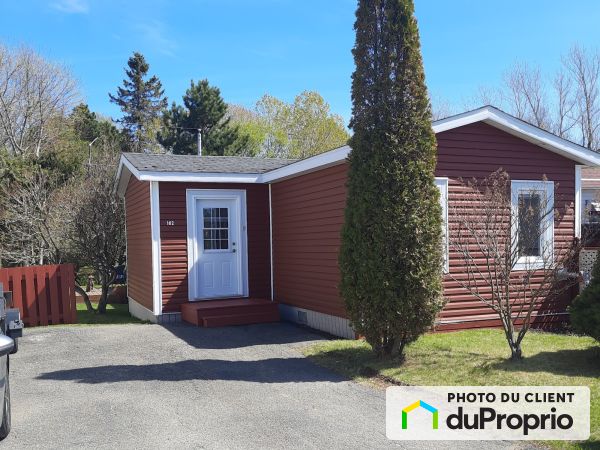 102, rue du Parc-de-l'Amitié, ND-Du-Portage à vendre