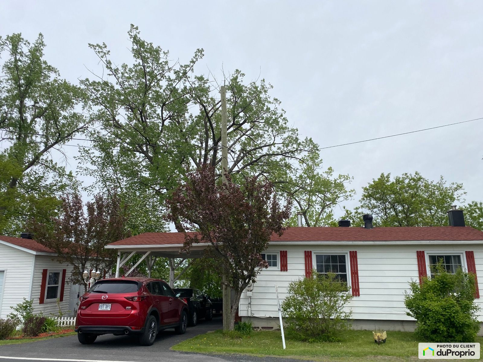 924 Rue Richelieu — photo 3